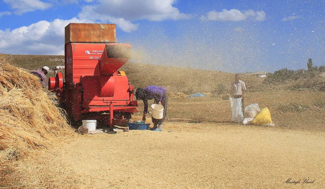 Konya’da kuraklığın içine çizilmiş harman portresi 3
